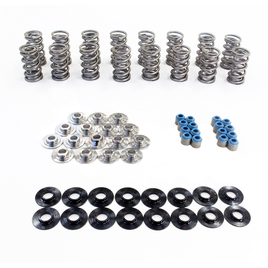 TSP .660" POLISHED Dual Spring Kit w/ PAC Valve Springs and Titanium Retainers